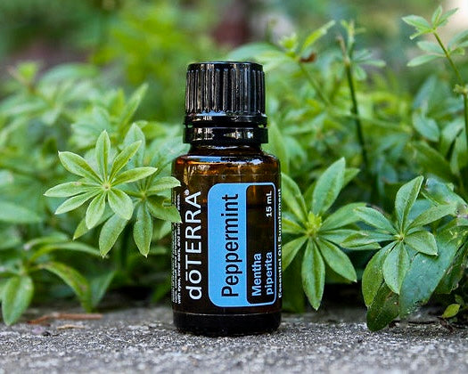 Peppermint Oil