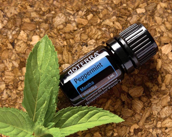 Peppermint Oil