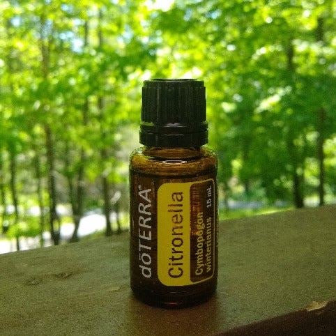 Citronella Oil